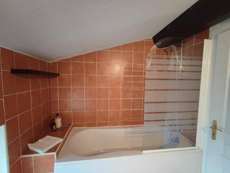 Apartament Charme De Victor Conciergeriedamecarcas Carcassonne Zewnętrze zdjęcie